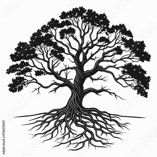 Stylized black silhouette of a majestic ancient tree with sprawling branches and intricate root system isolated on a white background