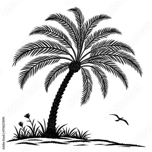 A striking black silhouette of a solitary palm tree with lush fronds stands against a white background accompanied by a flying bird and small coastal plants