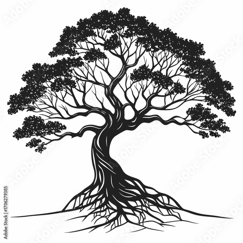 Silhouette of an ancient gnarled tree with exposed roots and a full canopy of leaves against a white background
