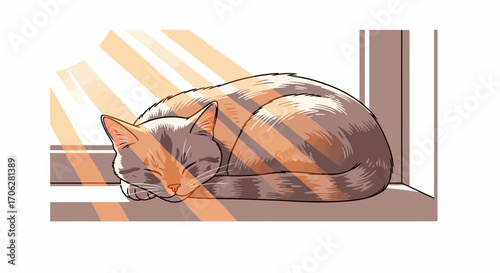 Serene Cat Sleeping Peacefully Enjoying The Warmth Of The Sunlight On The Window