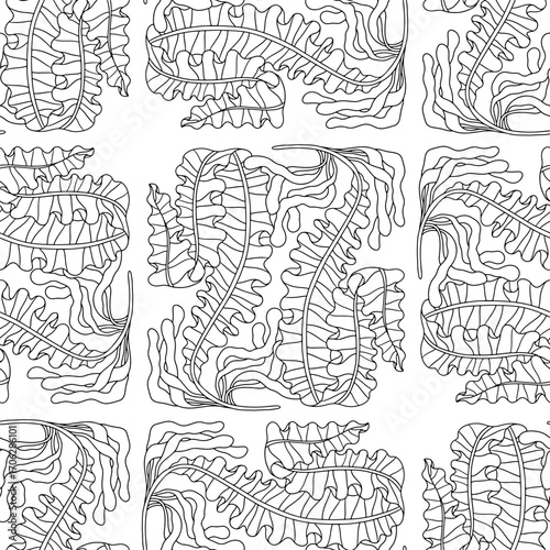 Seaweed monochrome abstract botanical coastal seamless pattern art nouveau style