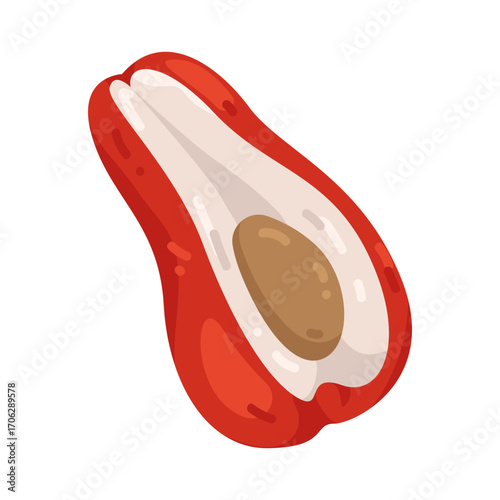 Illustration of Java apple with bright red color