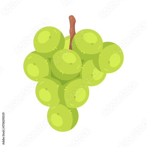 Illustration of Shine Muscat Grape