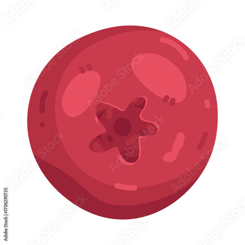 Illustration of Fresh cranberries are bright red
