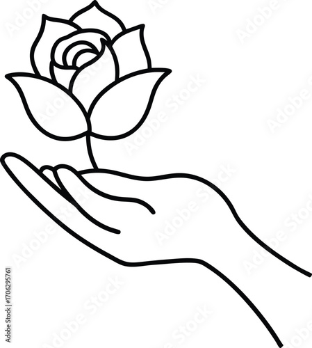 Hand gently holding a blooming rose flower, symbolizing love and beauty, isolated on white background