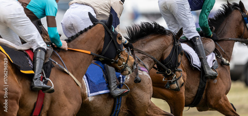 Close up panoramic shot of thoroughbred horses and jockeys racing in a close steeplechase.