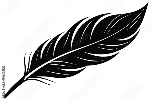 phoenix feather vector art