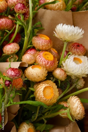 brightly colored strawflower bundles at the market