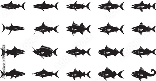 Diverse fish silhouettes swimming underwater shark tuna