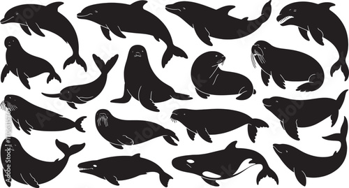 Diverse marine mammals in black silhouette dolphin seal