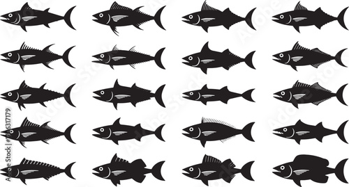 Diverse fish silhouettes black and white tuna mackerel