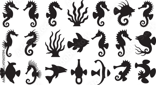 Seahorse fish coral silhouettes seaweed aquatic