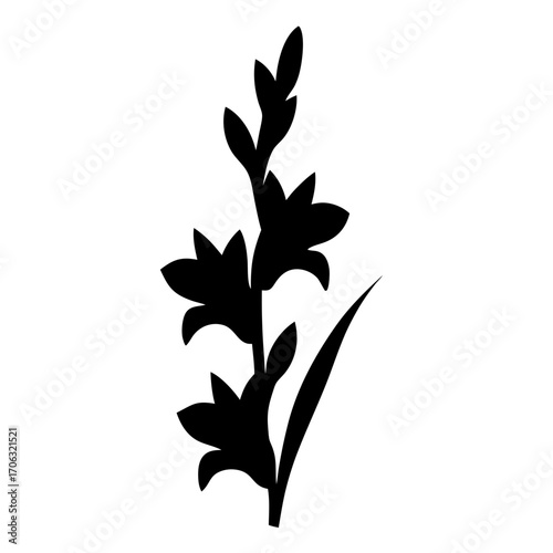 Silhouette of gladiolus flower stem-Black silhouette illustration of a gladiolus flower stem with multiple blossoms and leaves, isolated on white background for decorative or botanical design.