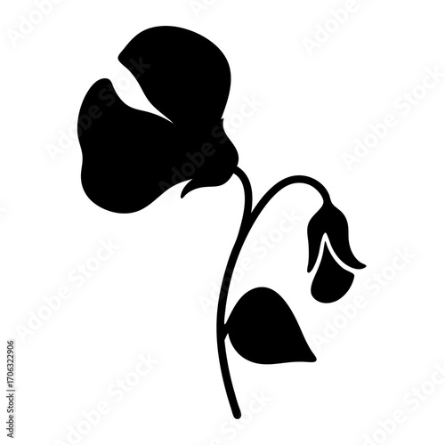 Silhouette of sweet pea flower with bud-Black silhouette of a sweet pea flower with a curved stem, large petals, a leaf, and a small bud, perfect for floral, botanical, or decorative vector designs.