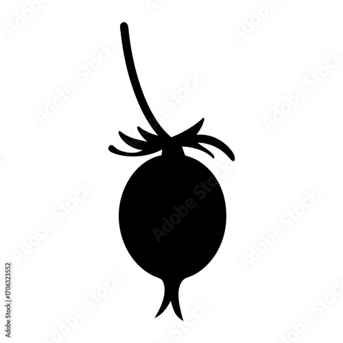 Silhouette of rose hip wild fruit icon-Black silhouette illustration of a rose hip with stem and sepals, symbolizing wild fruit, herbal remedies, nutrition, and natural produce.