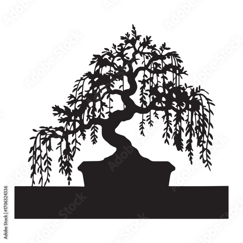 Silhouette of a weeping bonsai tree isolated on white background
