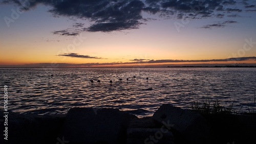 Etang de Vaccarès