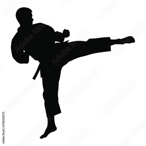 Martial arts silhouette dynamic high kick action pose karate kung fu fighter silhouette silhouette