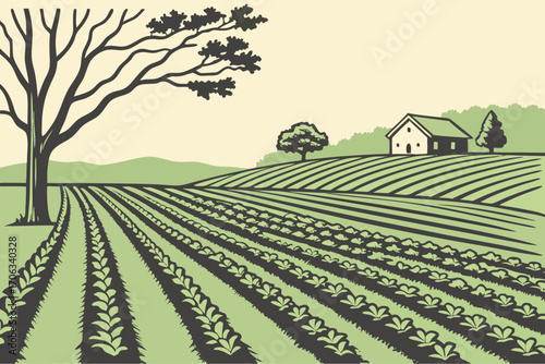Flat farmland with rows of crops in a farmer’s field