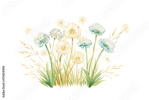 Watercolor illustration of fluffy dandelions and tall grass