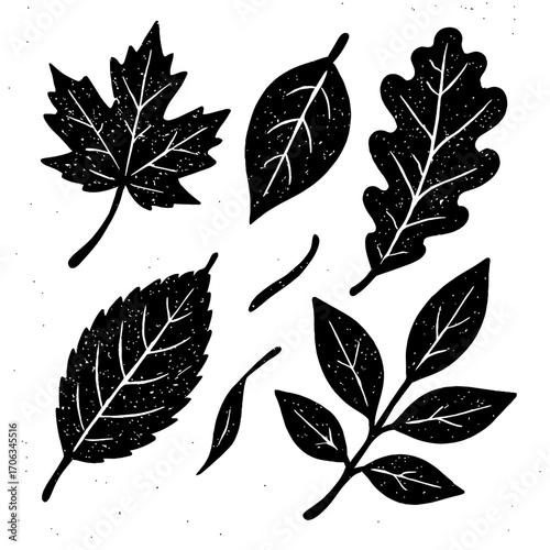 Captivating hand-drawn vintage black & white leaf silhouettes set, featuring diverse botanical shapes with a charming distressed texture. Perfect for autumn, fall, nature illustrations, unique design