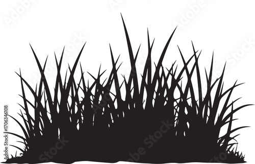 grass on white background