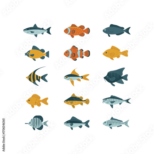 Collection of diverse aquarium fish species diverse marine life underwater creatures
