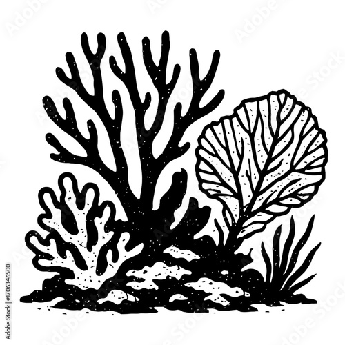 Vintage B&W illustration: Bustling underwater coral reef scene with diverse marine organisms like branching corals, fan corals, sea sponges, and aquatic plants. Detailed depiction of oceanic biodivers