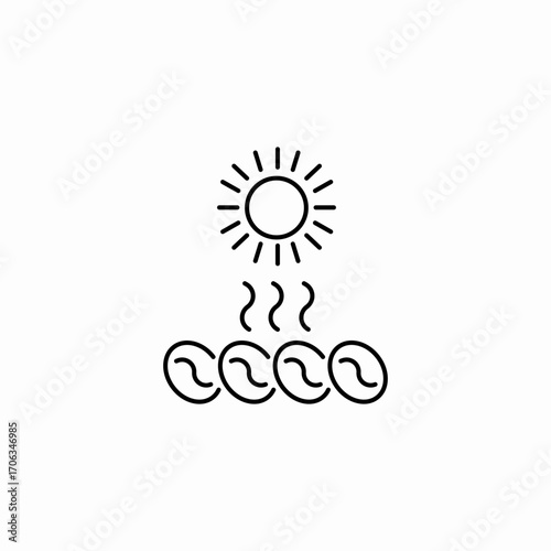 sun drying coffee icon sign vector