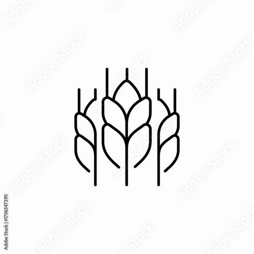 wheat plant heads icon sign vector