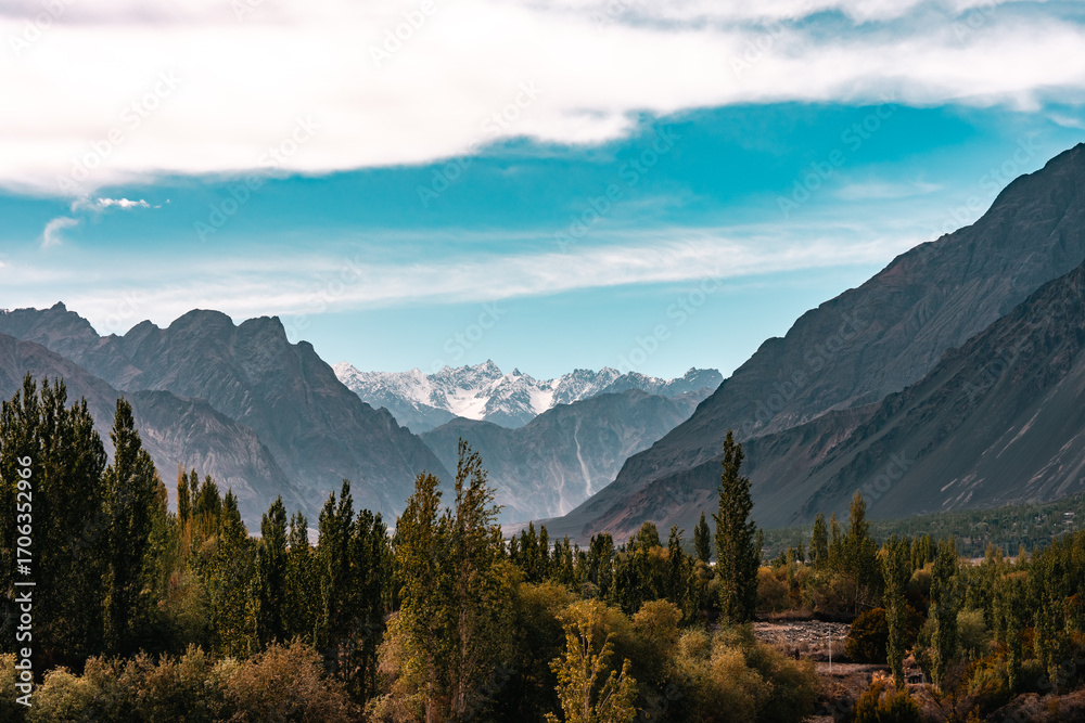Fototapeta premium Majestic snow-capped Himalayan mountains near Leh under clear blue sky, showcasing stunning natural landscape, winter wilderness, breathtaking panoramic view of rugged peaks scenic tranquility
