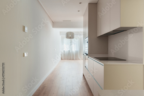 Wallpaper Mural Modern galley kitchen with minimalist cabinetry Torontodigital.ca