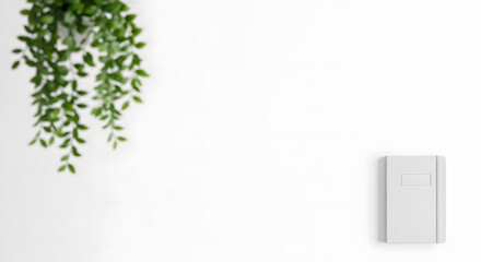 Minimalist white background with top corner with blurred hanging plant, bottom corner with closed notebook, free center