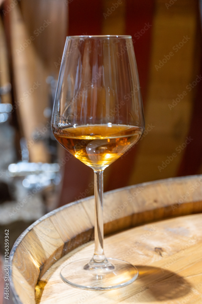 Obraz premium Visit of wine cellar with old large oak barrels, glass of fortified dry or sweet tasty marsala wine from barrels in Marsala, Sicily, Italy