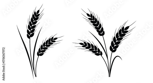 black wheat stalks contrast sharply against white background