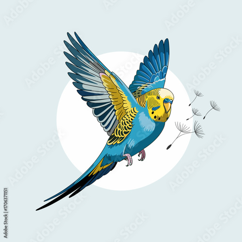 Flying Budgerigar Parakeet Vector Illustration