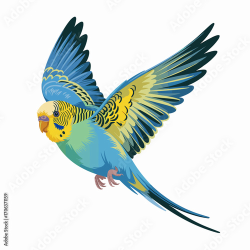 Flying Budgerigar Parakeet Vector Illustration