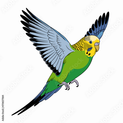Flying Budgerigar Parakeet Vector Illustration