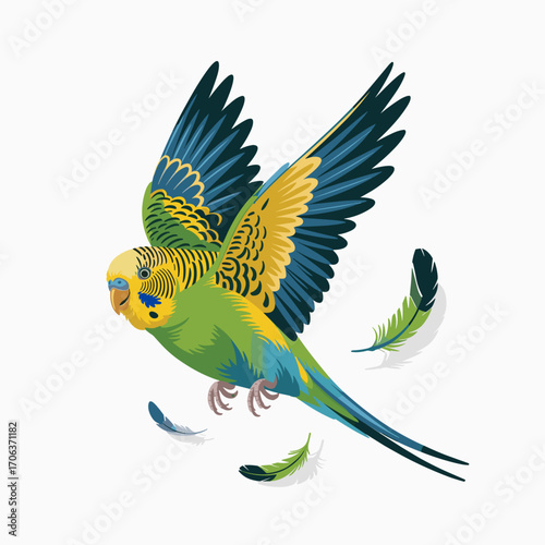 Flying Budgerigar Parakeet Vector Illustration