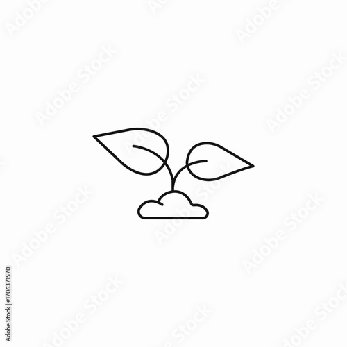 young sprout growing icon sign vector