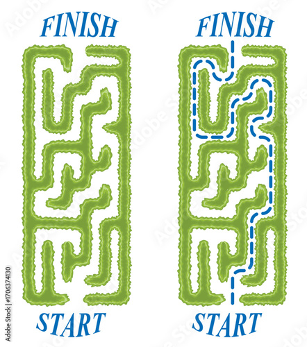 Green vertical hedge maze vector Illustration. Top view of the open air rectangular labyrinth made of garden bushes and grass. Education logic game for kids isolated on white backdrop.