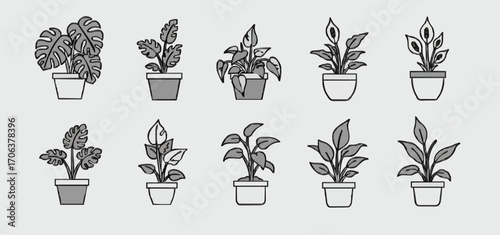 Icon set indoor plants