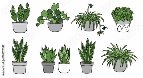 Icon set indoor plants