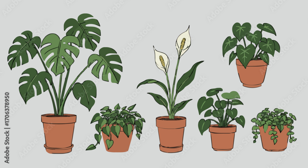 Fototapeta premium Icon set indoor plants