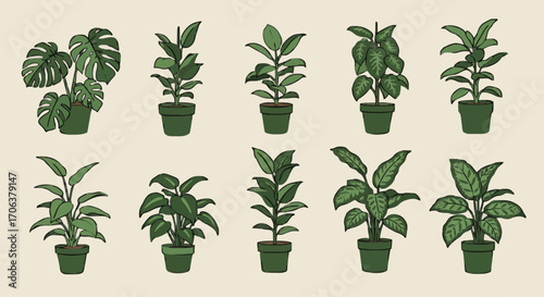 Icon set indoor plants