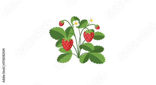 Vibrant strawberry plant with green leaves and red berries on white background