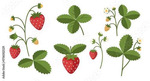 Strawberry plant elements with leaves, flowers, and berries in flat design