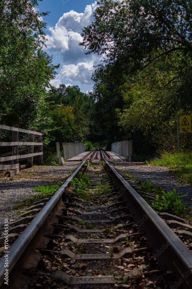 Obraz premium railway in the forest