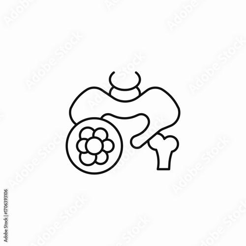 pelvic bone infertility icon sign vector