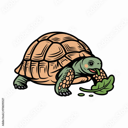 Tortoise Eating Leaf Vector Illustration